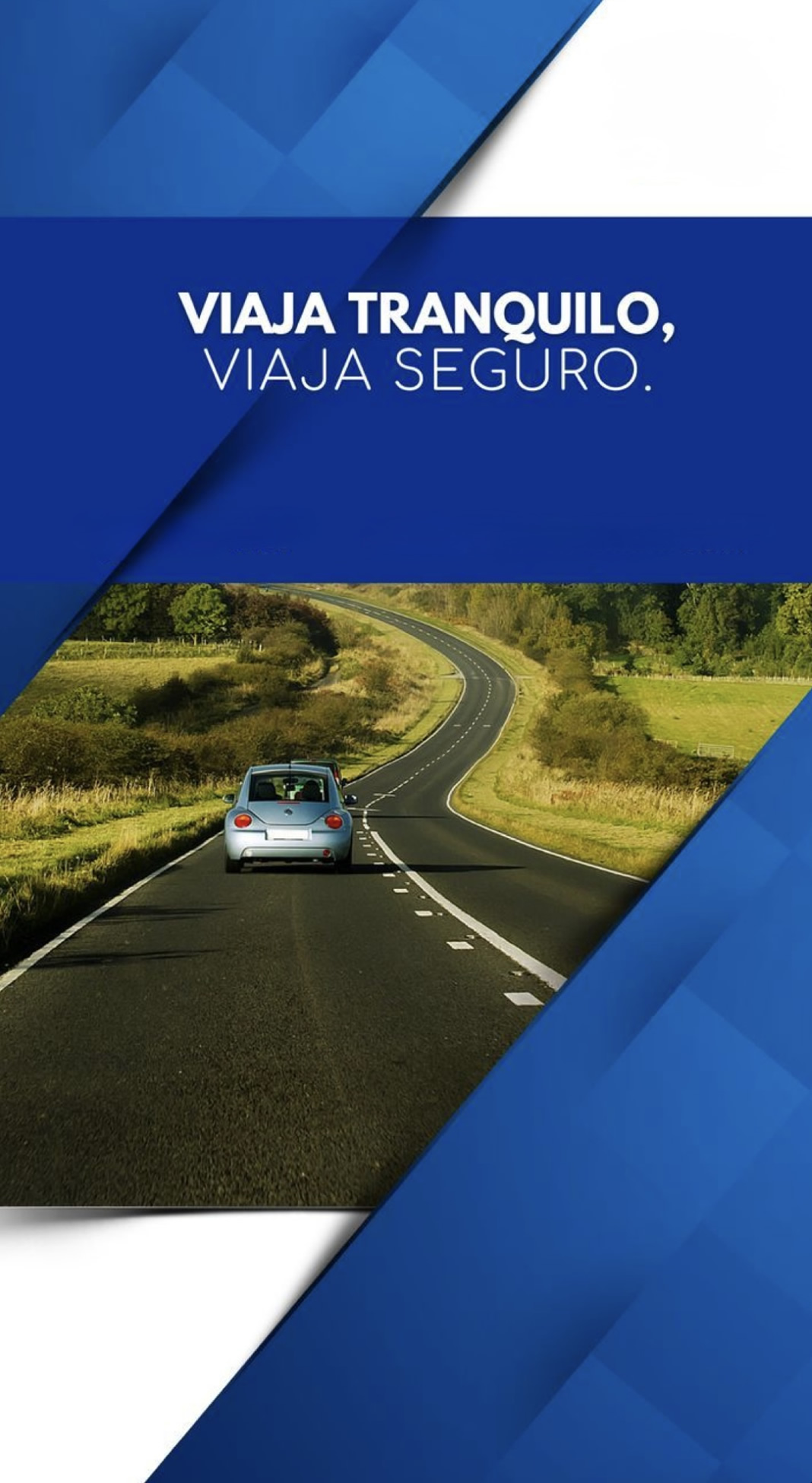 Imagen de Seguros