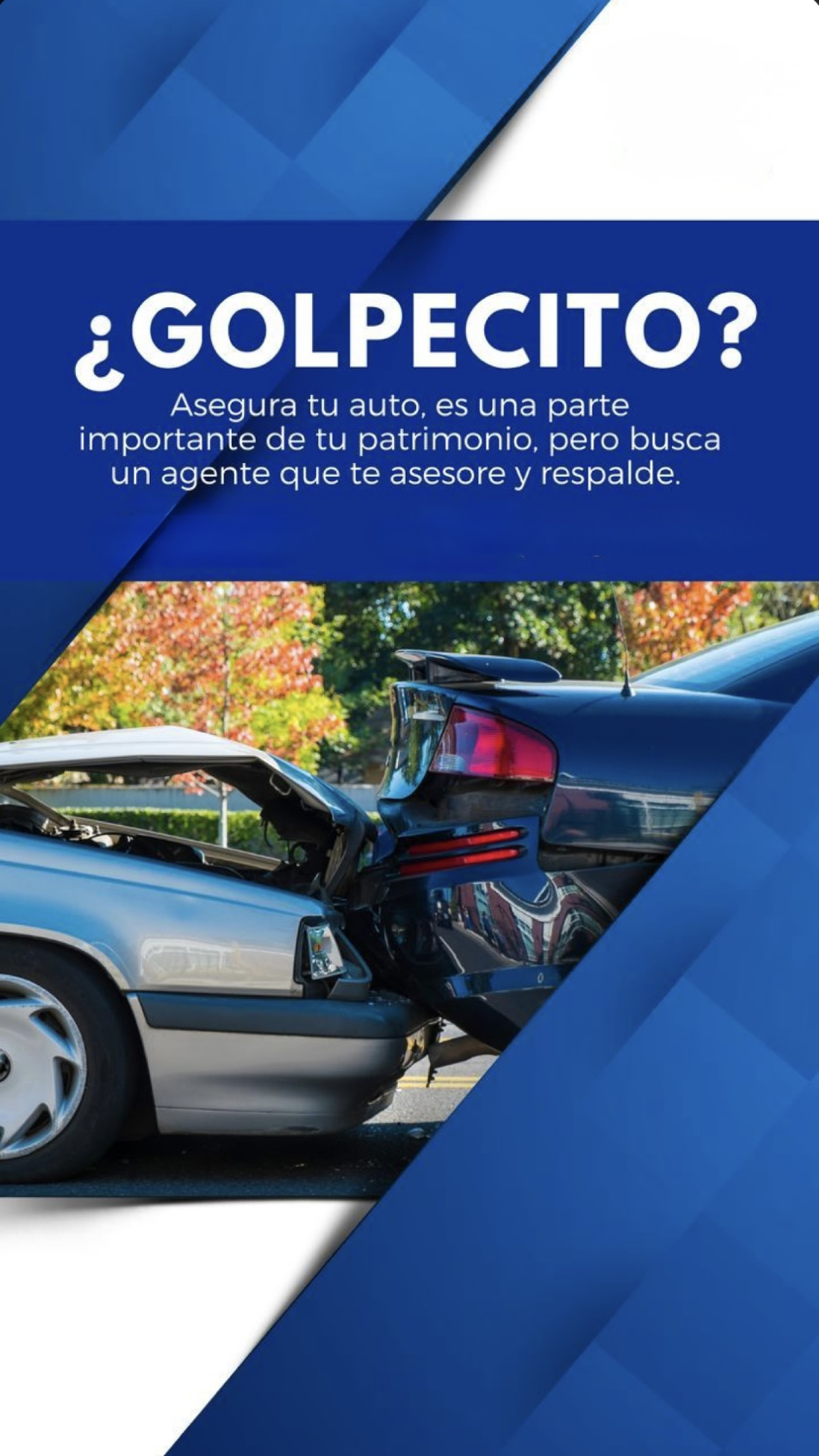 Imagen de Seguros
