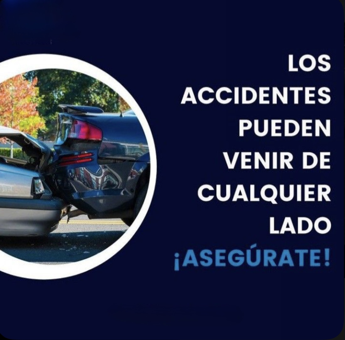 Imagen de Seguros