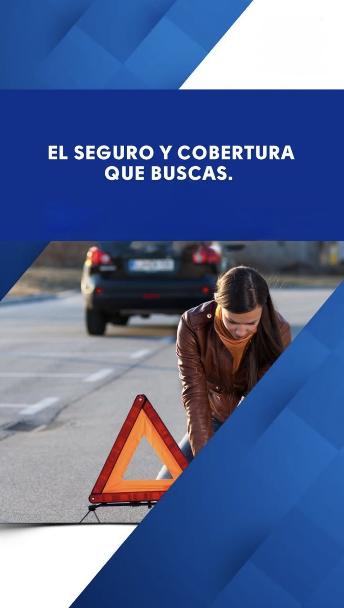 Imagen de Seguros