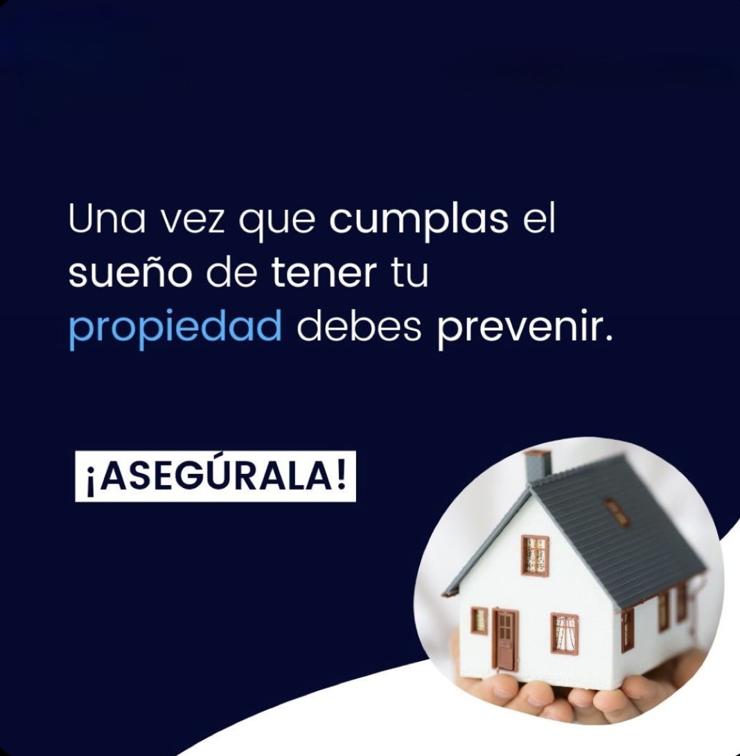 Imagen de Seguros